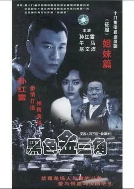 振华英雄